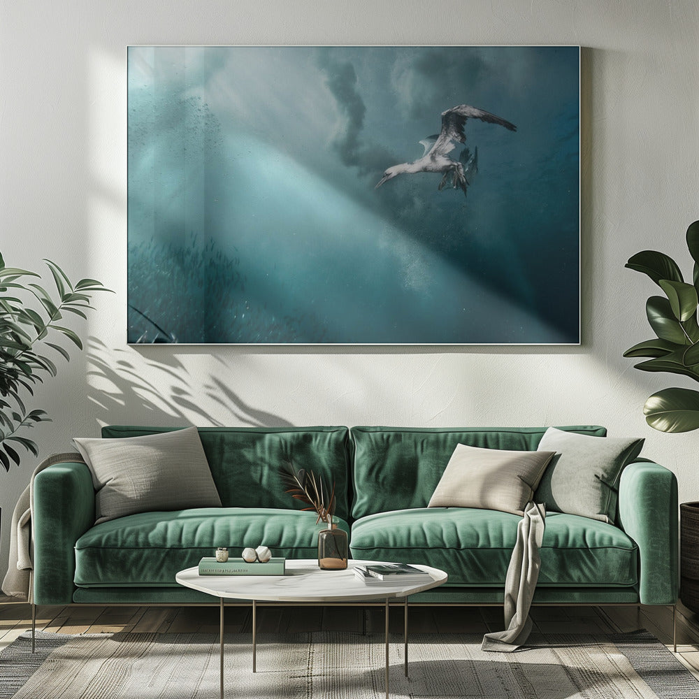 duiker | Canvas