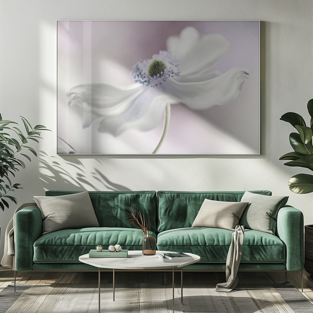 Anemoonbries | Canvas