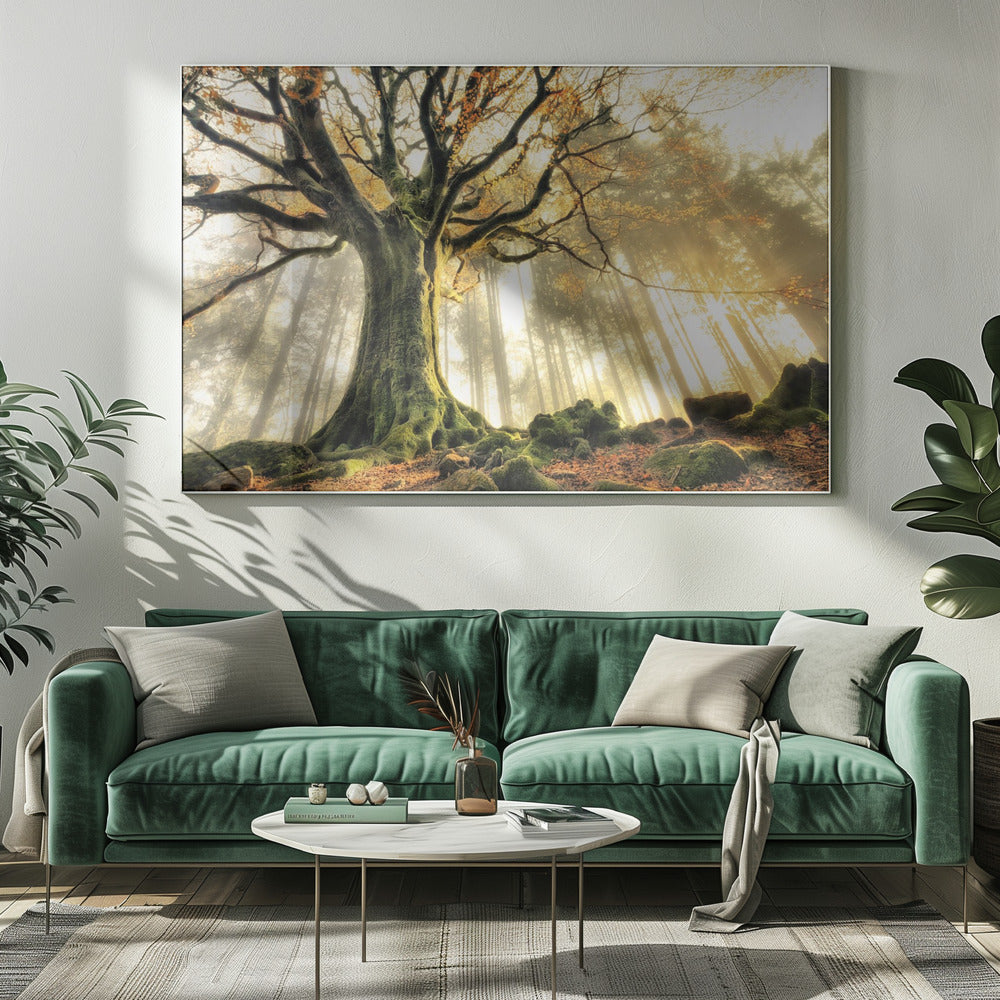 November | Canvas