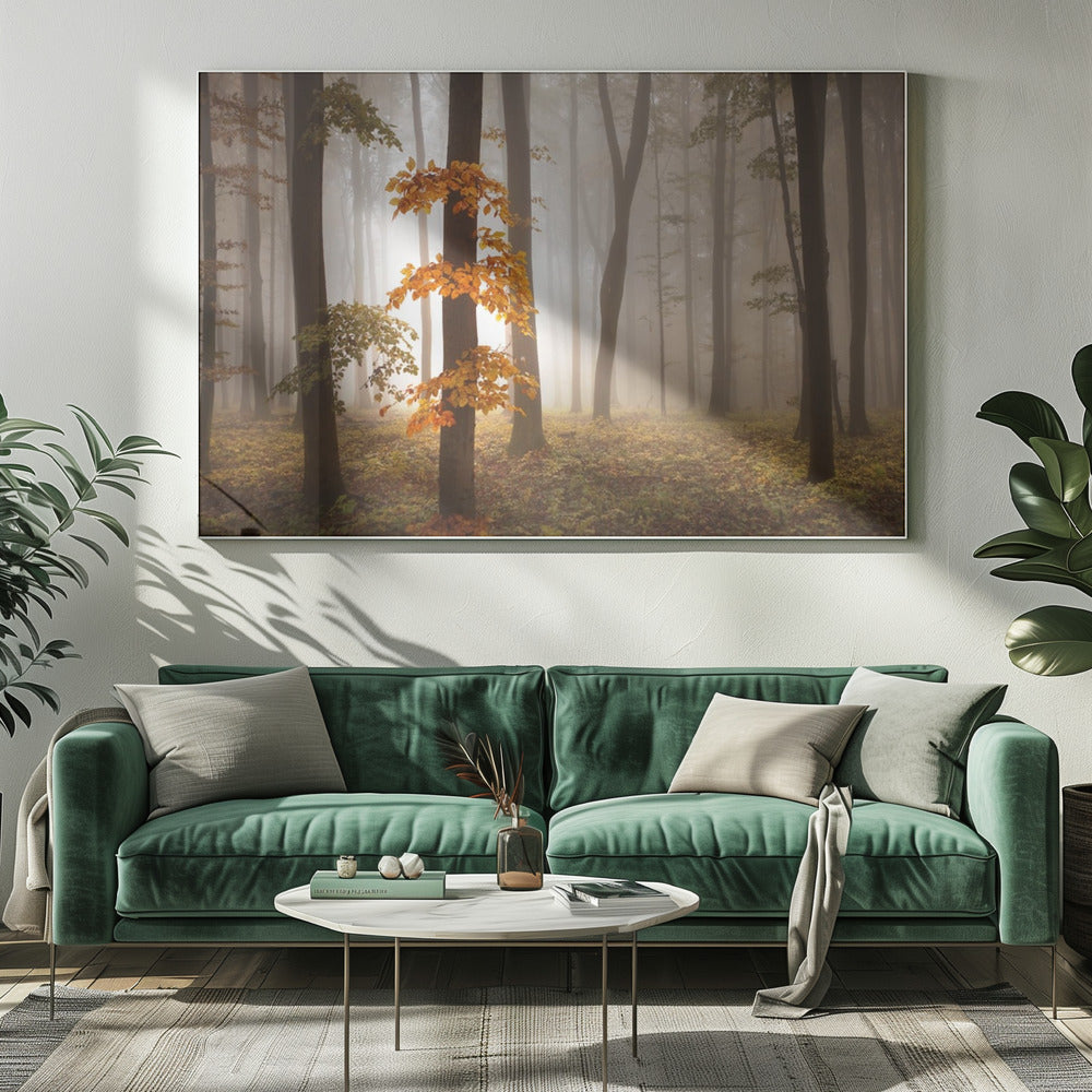 In novemberlicht | Canvas