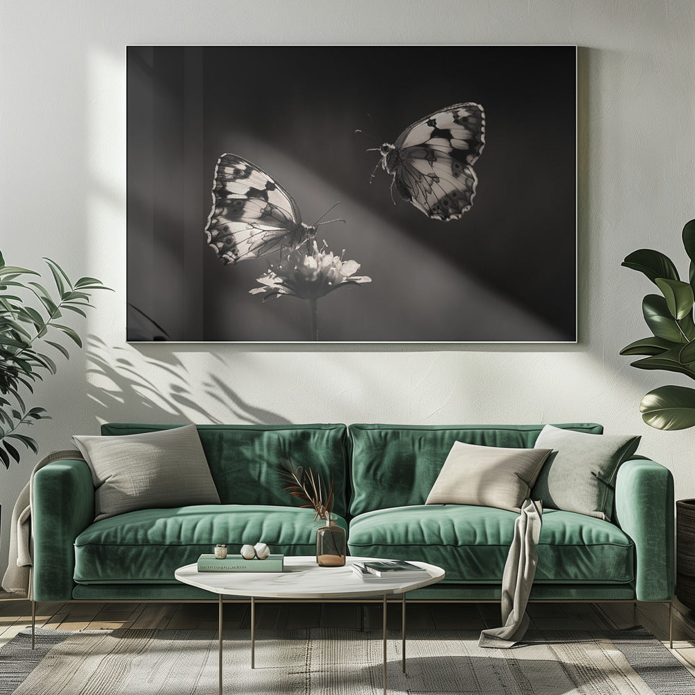 Noordelijk halfrond | Canvas