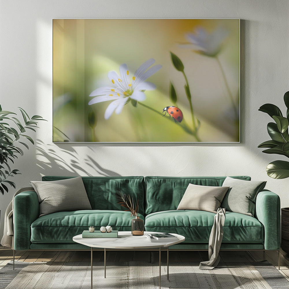 Zomerse schoonheden | Canvas