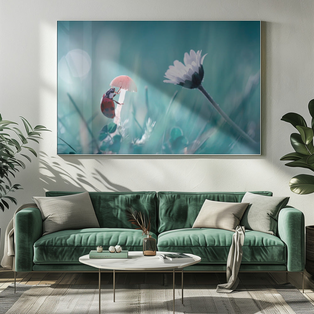 Speeddaten | Canvas