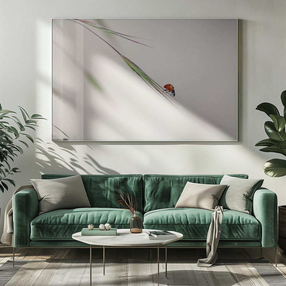lieveheersbeestje | Canvas
