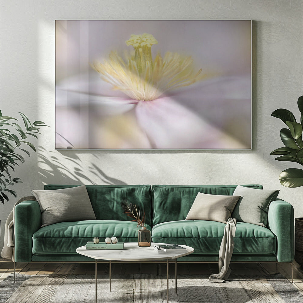Montana | Canvas