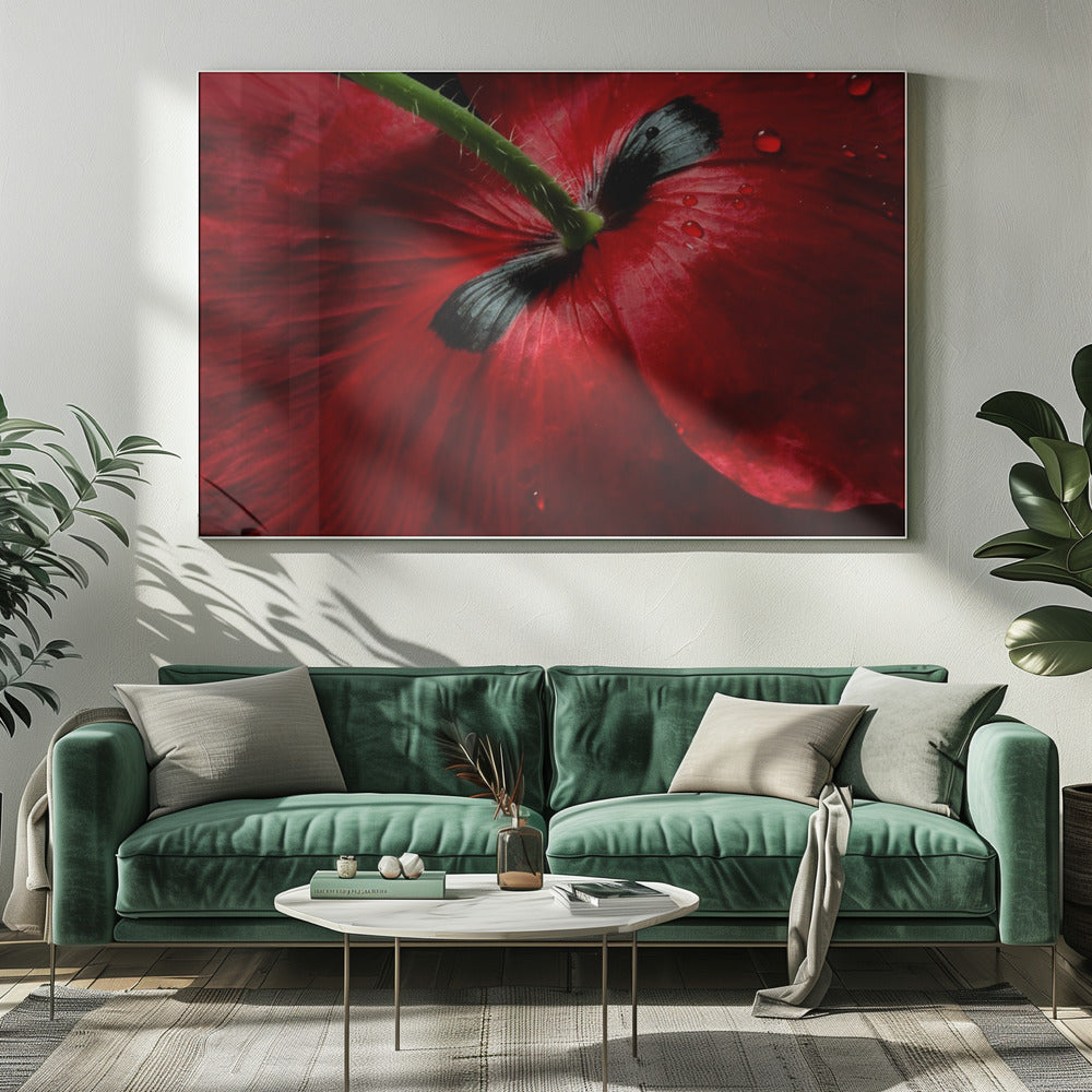 Papaverpassie | Canvas