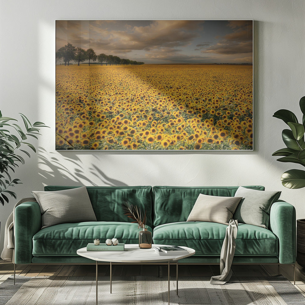 Zonnebloemen | Canvas