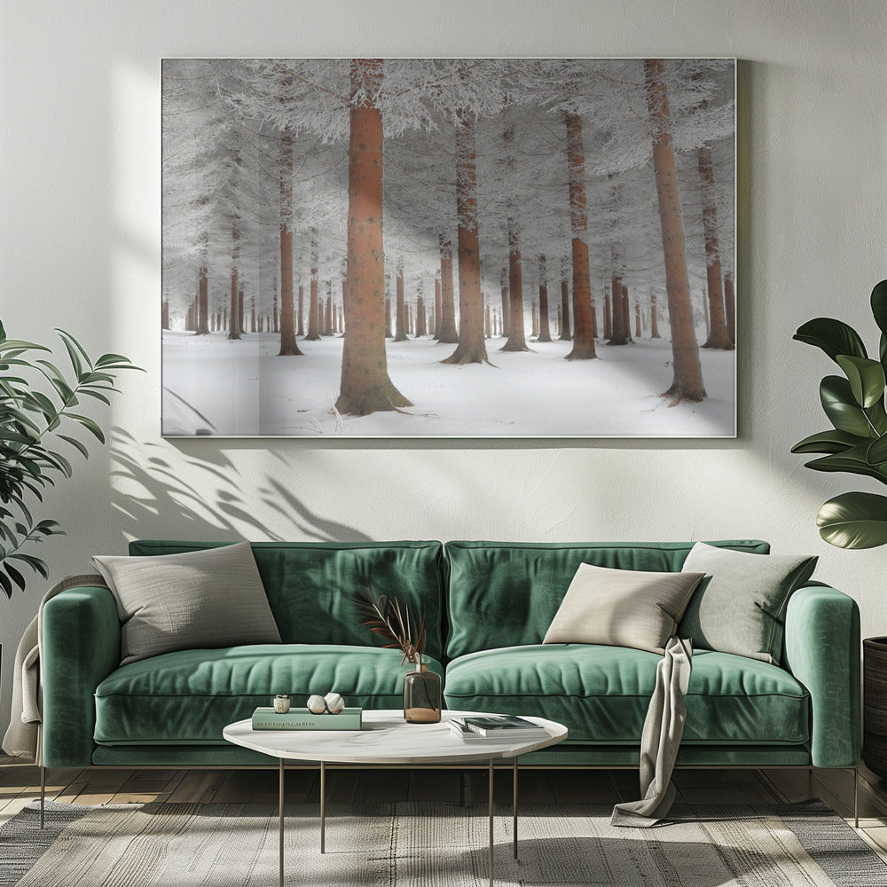 In het wit | Canvas