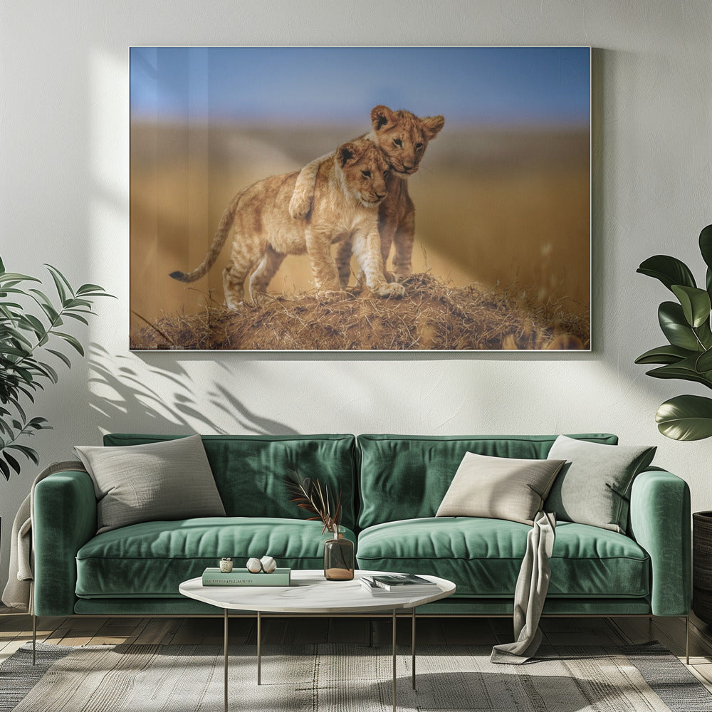 Broeders voor het Leven | Canvas