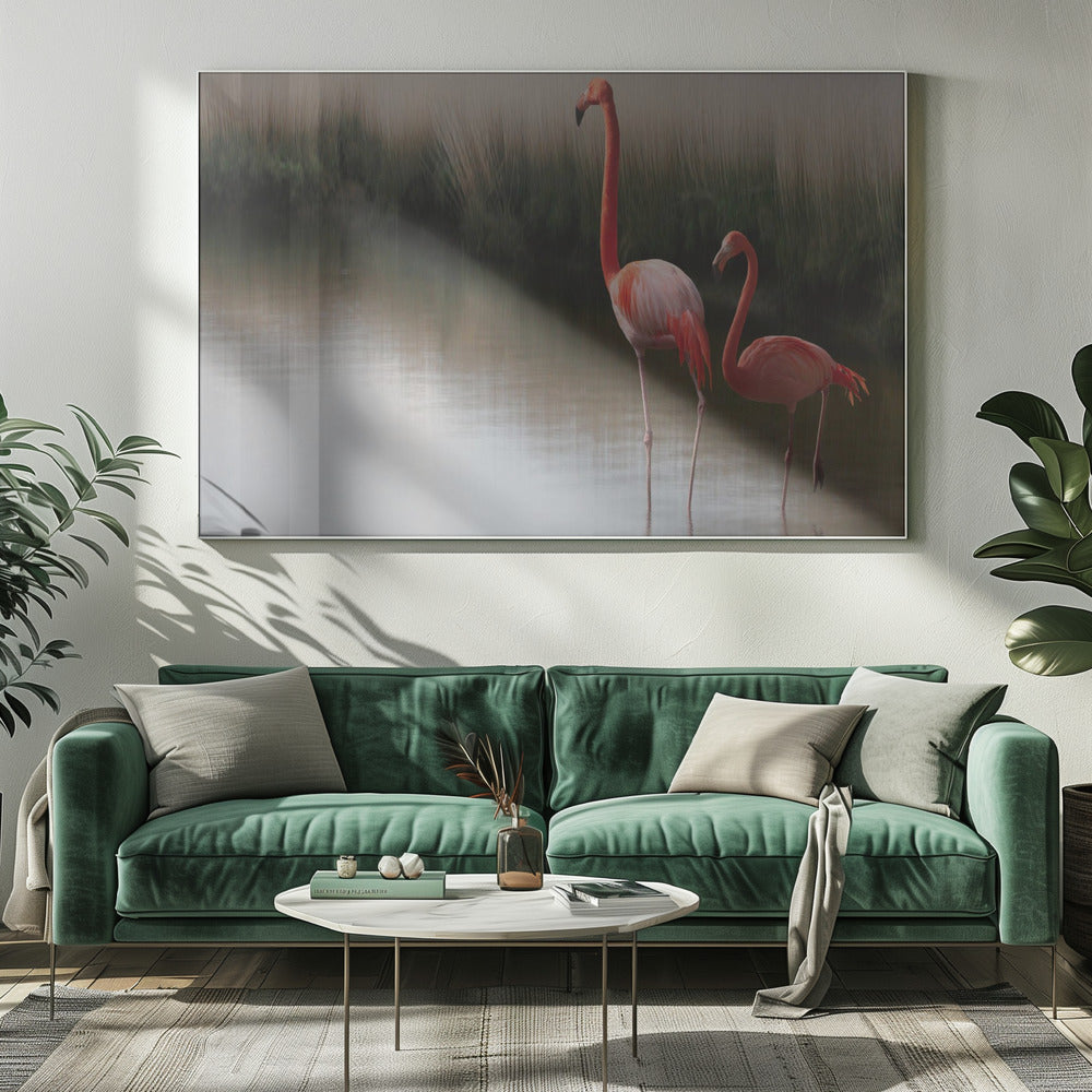 zo zen... | Canvas
