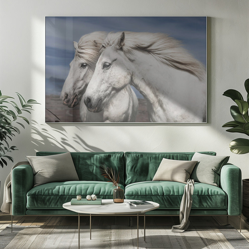 Blazen | Canvas