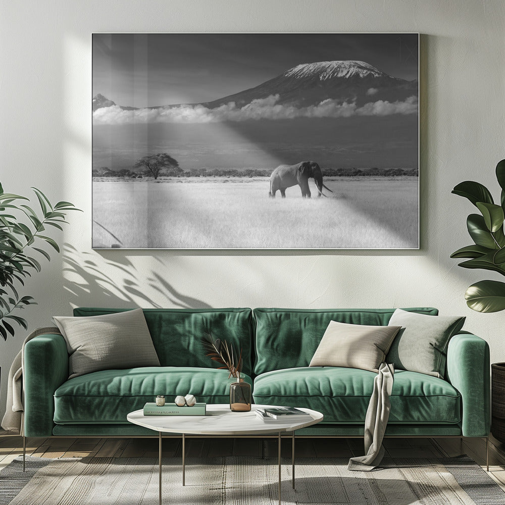 Verloren kleuren II | Canvas