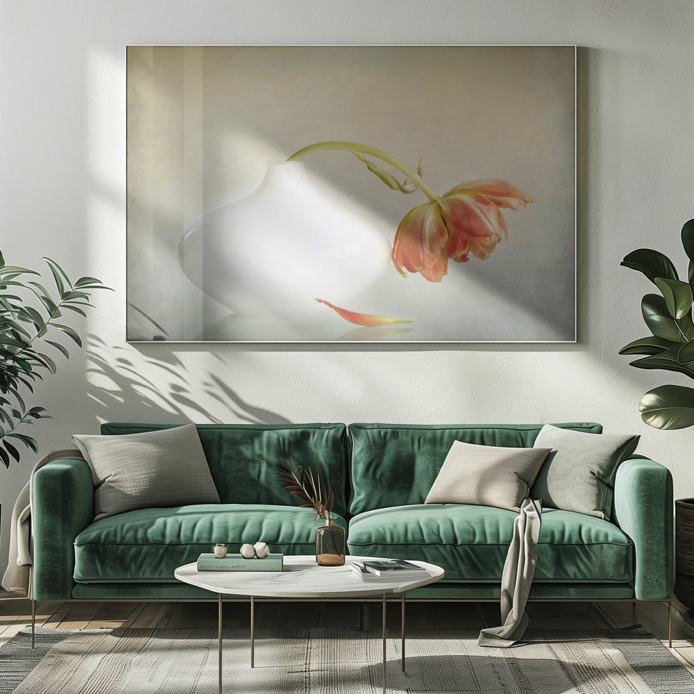 2lip | Canvas