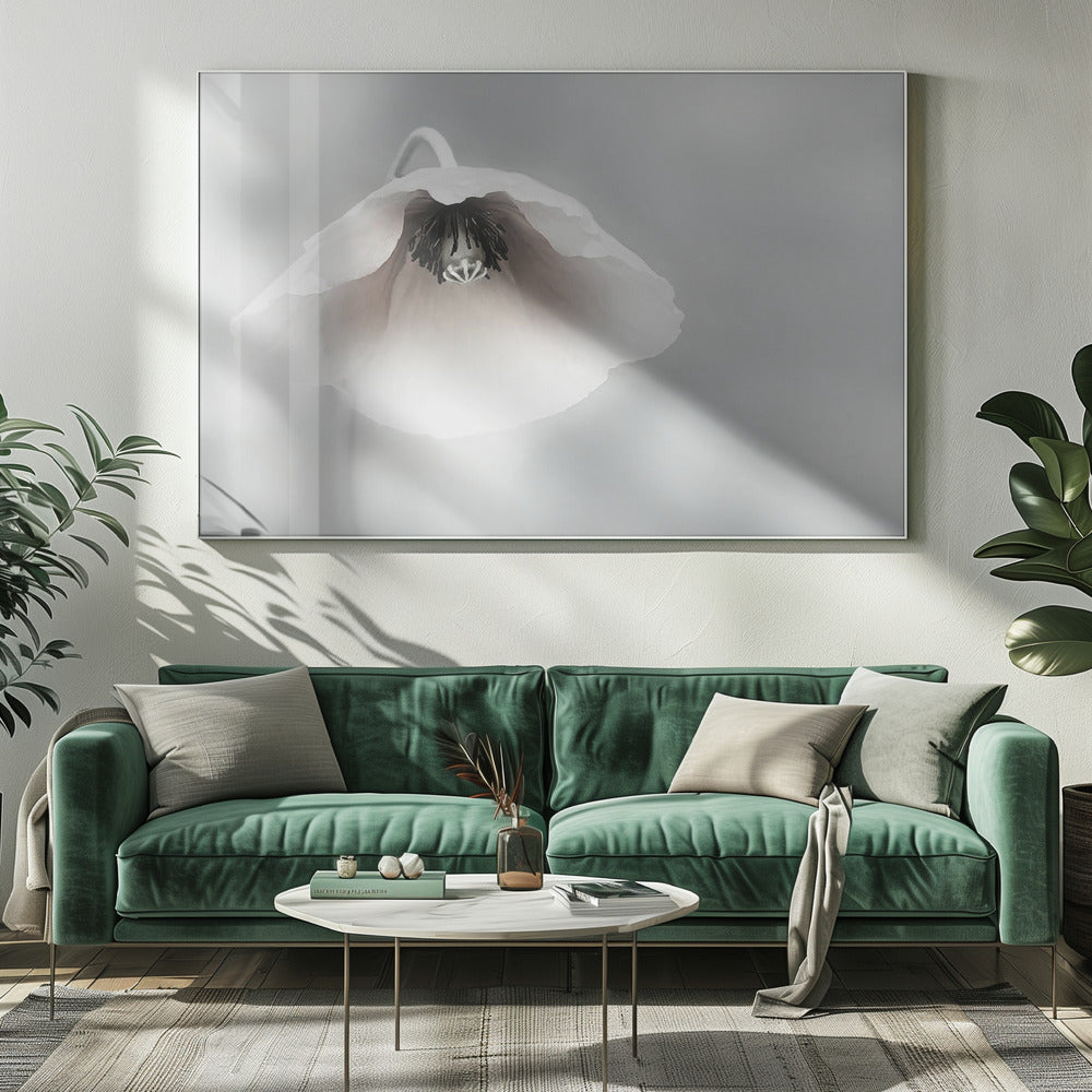 Vergankelijke schoonheid | Canvas
