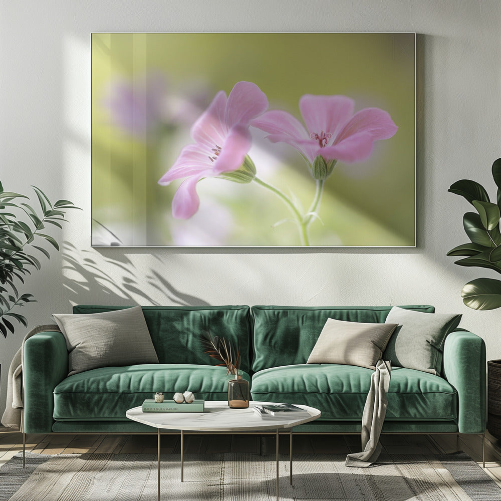 Roze Melodie | Canvas