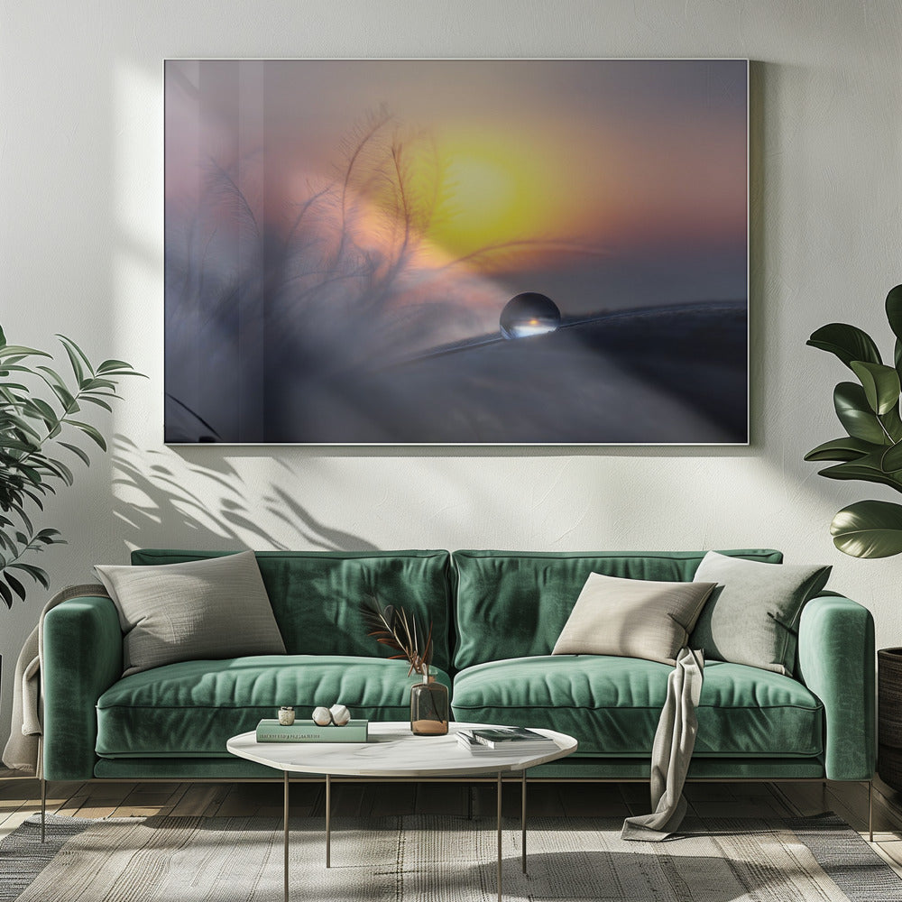 Morning | Canvas