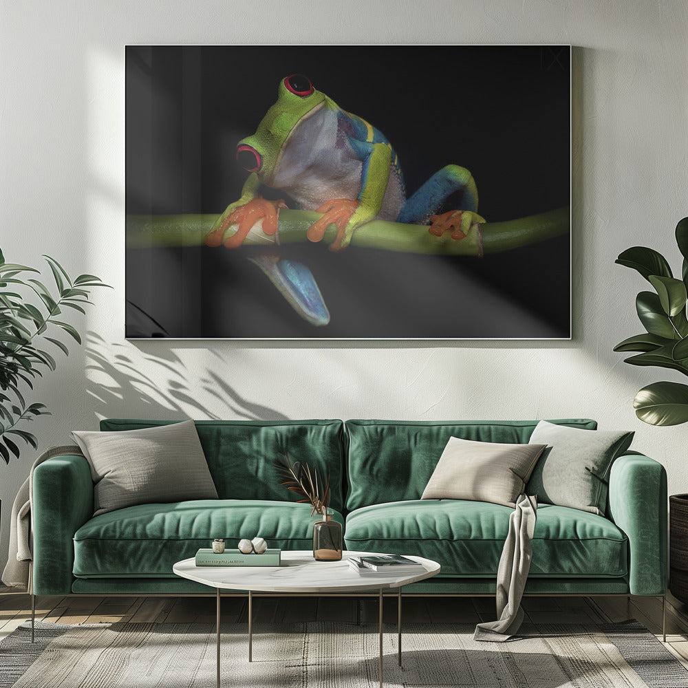 Nieuwsgierigheid | Canvas