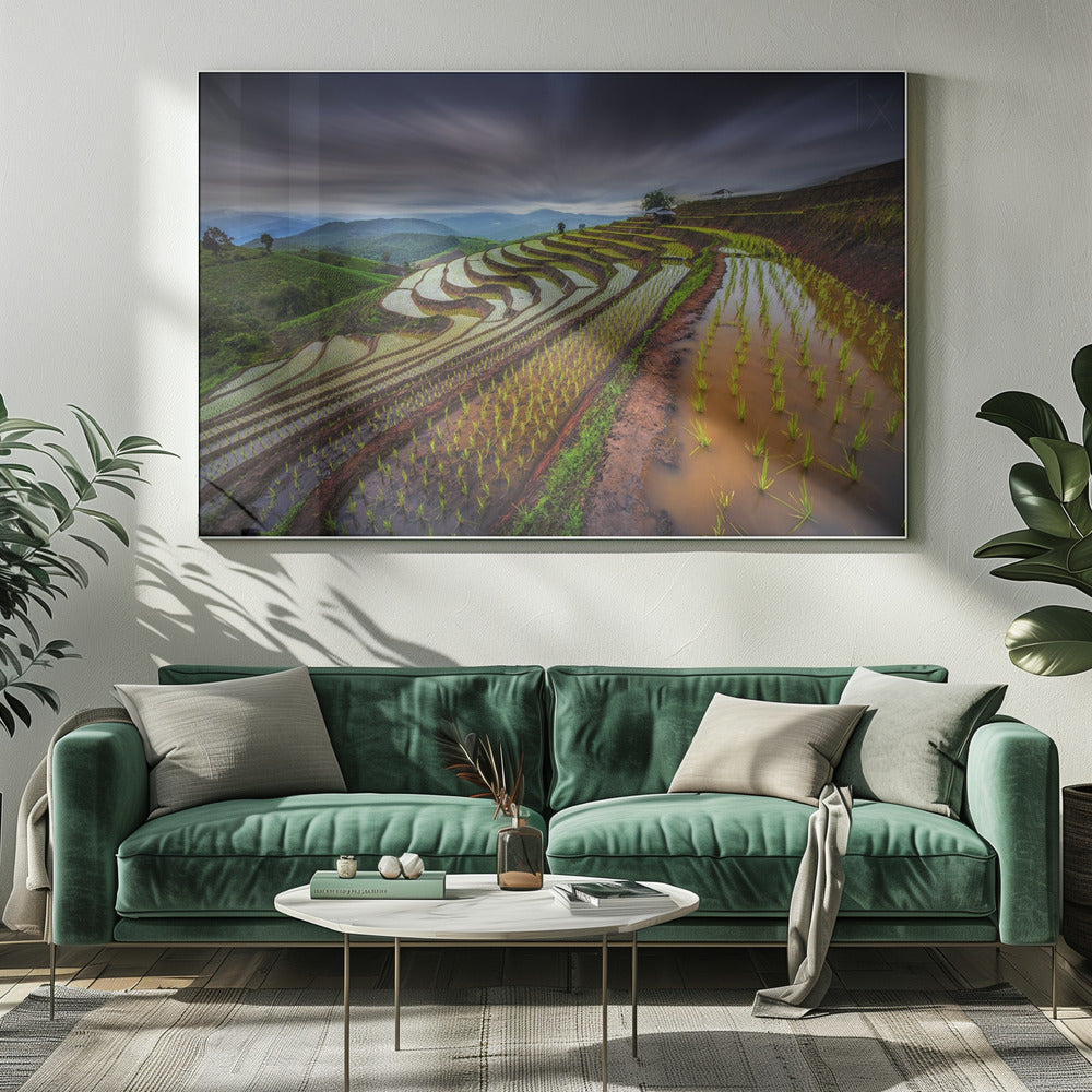 Ongeziene rijstvelden | Canvas
