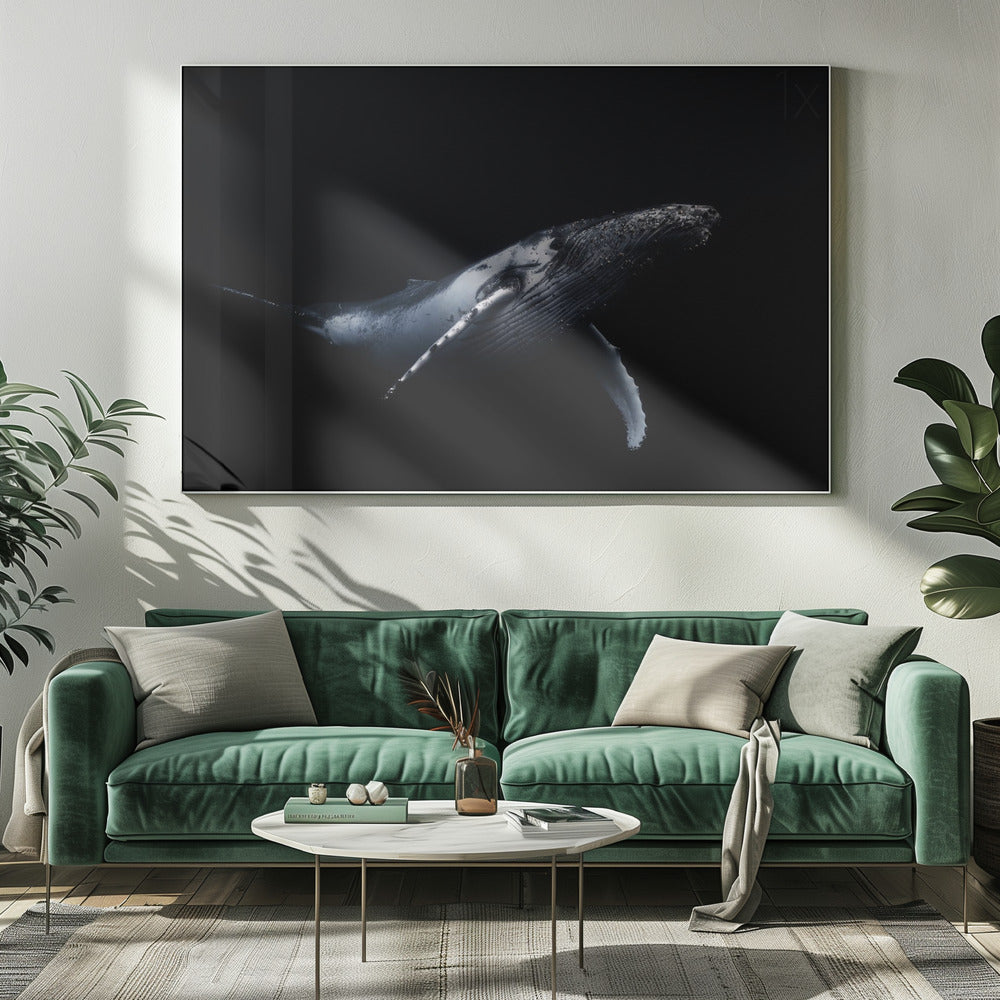 Zwart & Walvis | Canvas