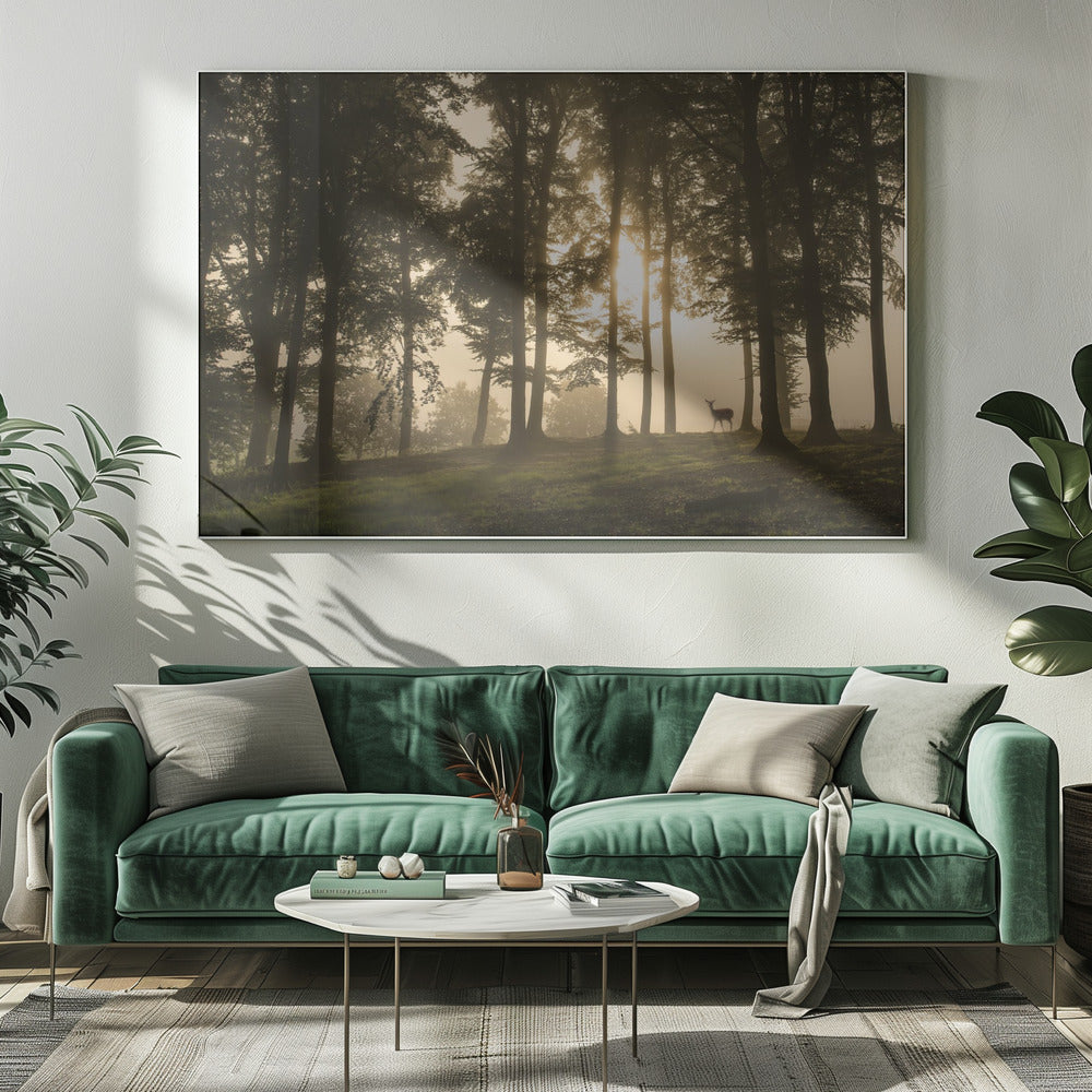 Deer in the morning mist. | Canvas