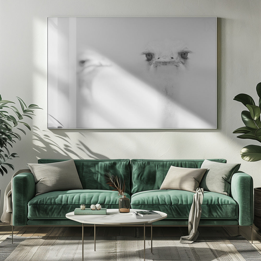 Funny ostrich | Canvas