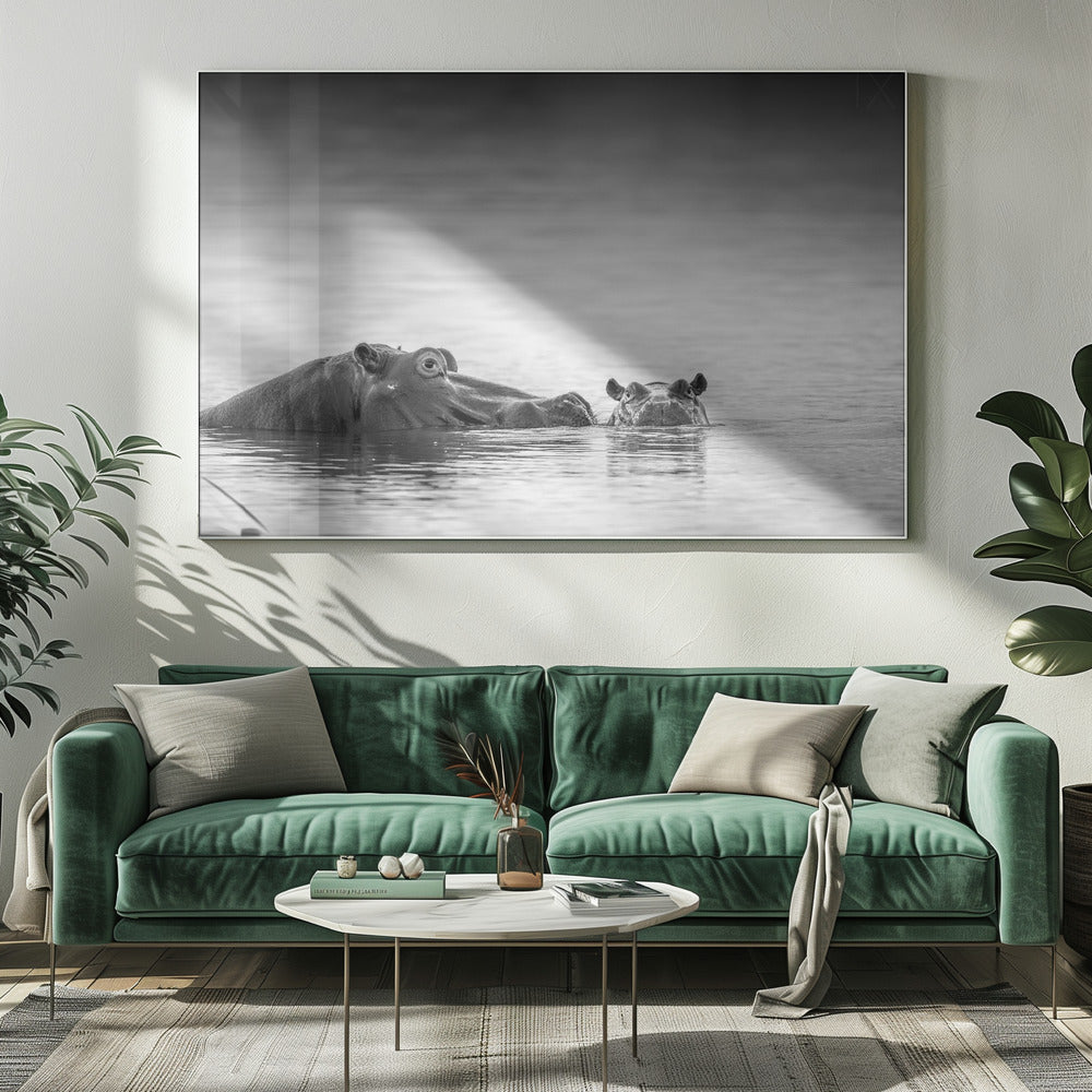 Ooghoogte | Canvas