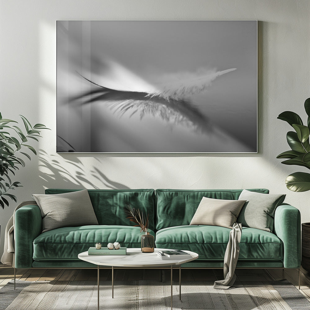White | Canvas