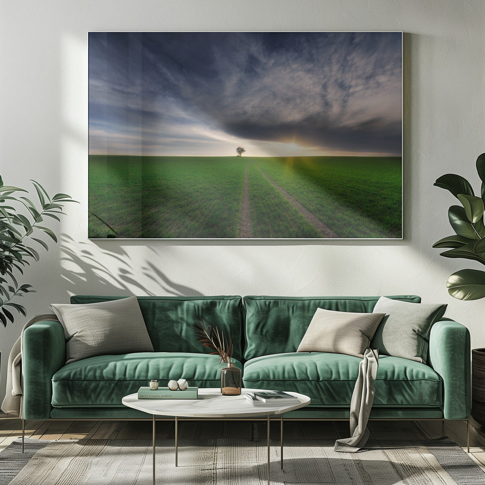 eenling in de zon | Canvas