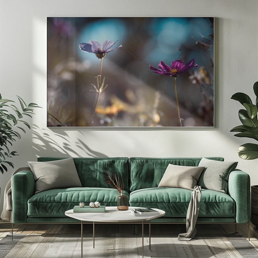 De link | Canvas