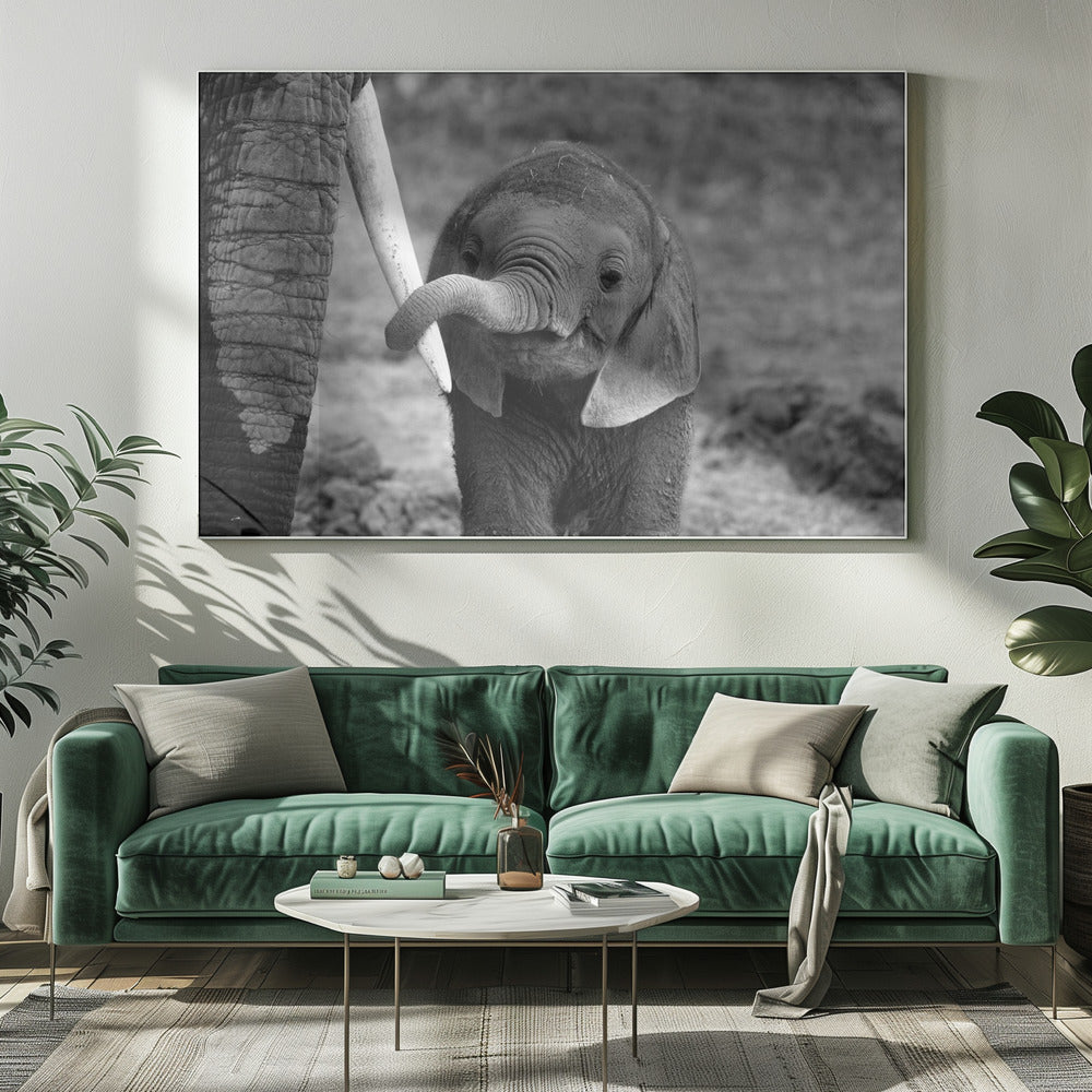 Sluiten | Canvas