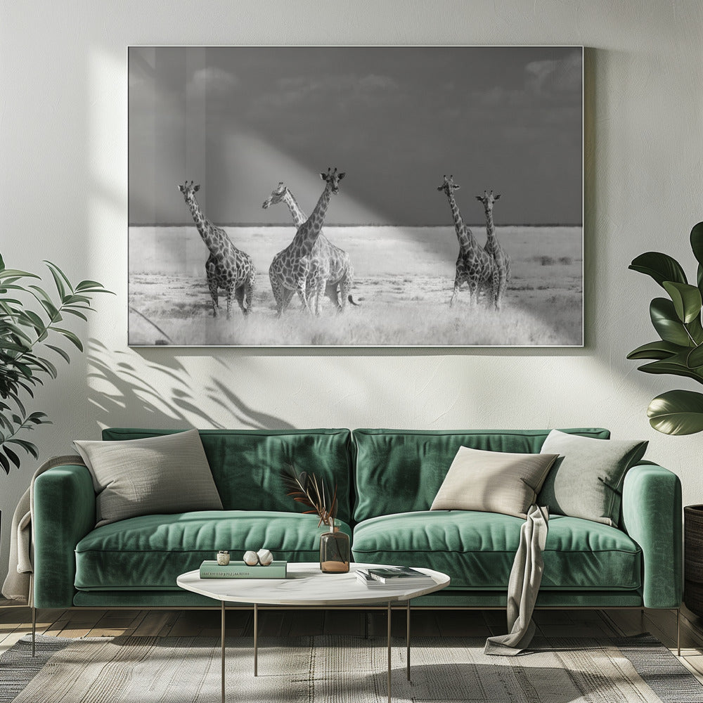 Look Girl Strange Animals | Canvas