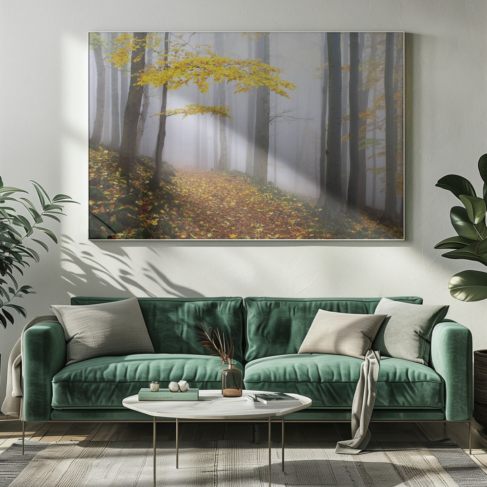 Zonder titel | Canvas