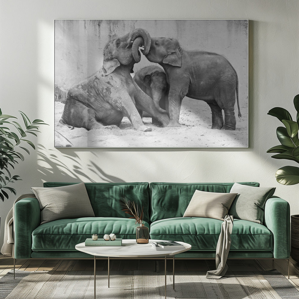 MÉNAGE À TROIS | Canvas