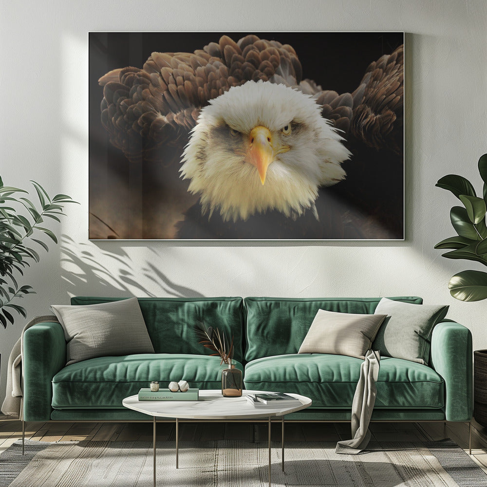 De Rechter | Canvas