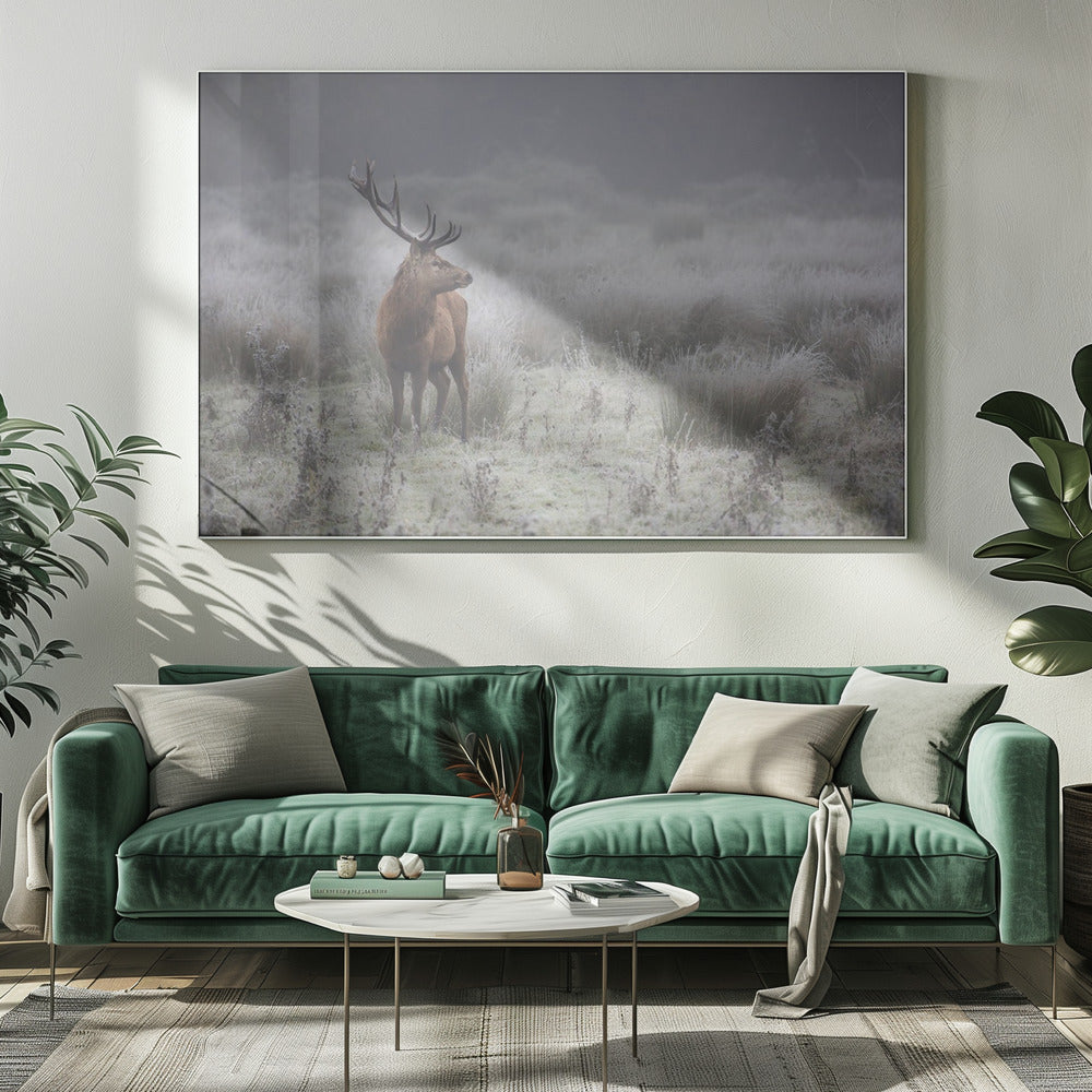 Trots. Hert. | Canvas