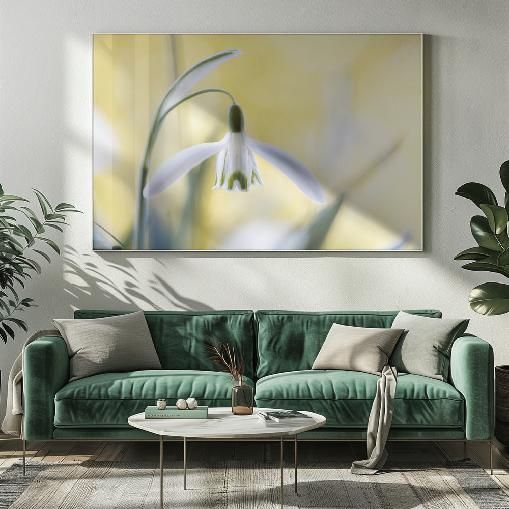 Sneeuwklokjes | Canvas