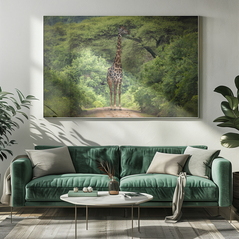 onverwachte ontmoeting | Canvas