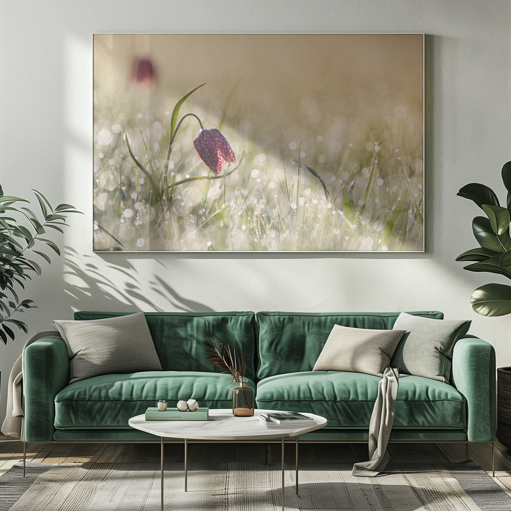 Ochtenddauw | Canvas