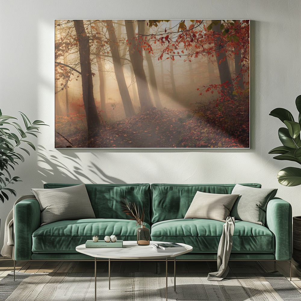 Op weg naar het licht. | Canvas