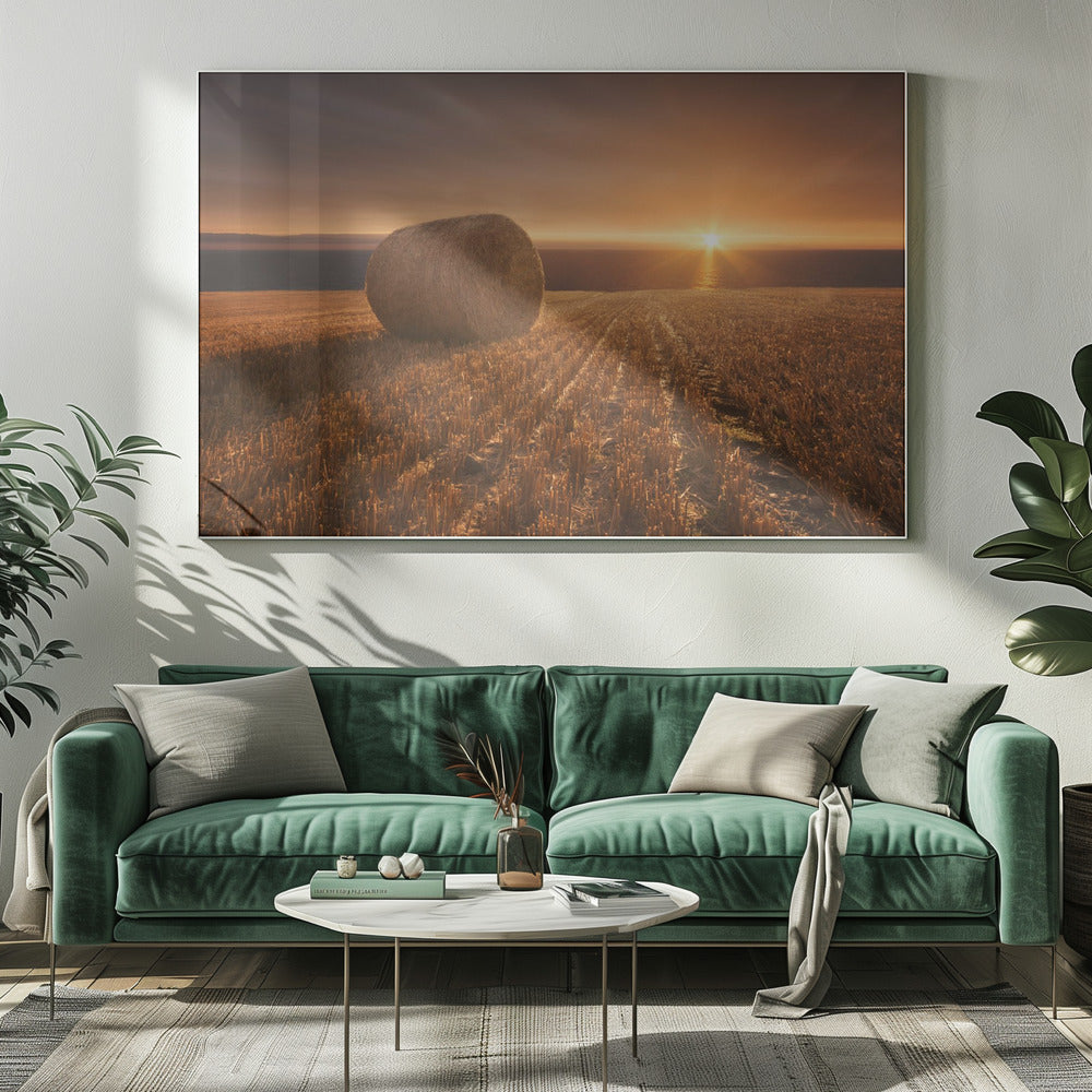 Gouden Oogst | Canvas