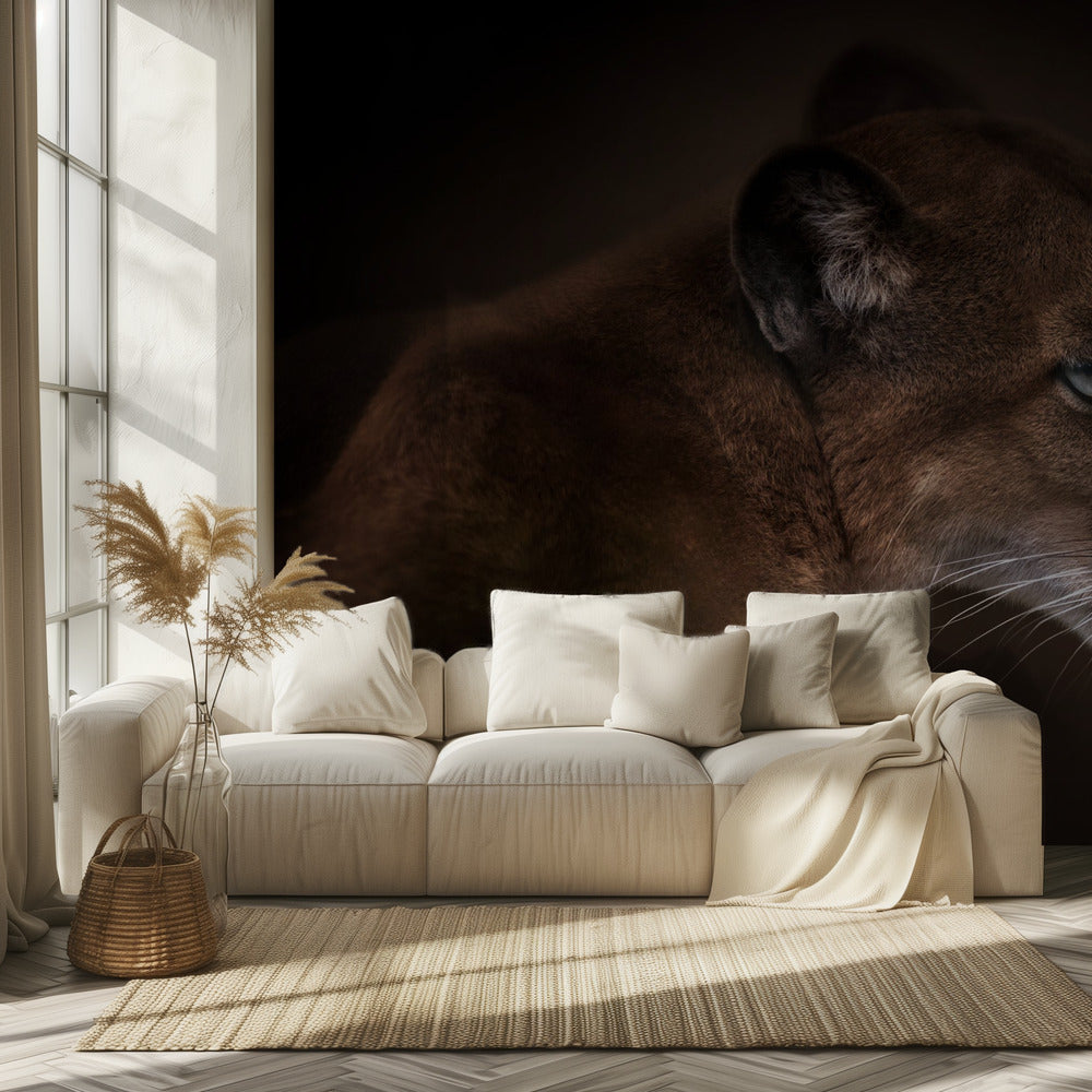 Puma | Achtergrond