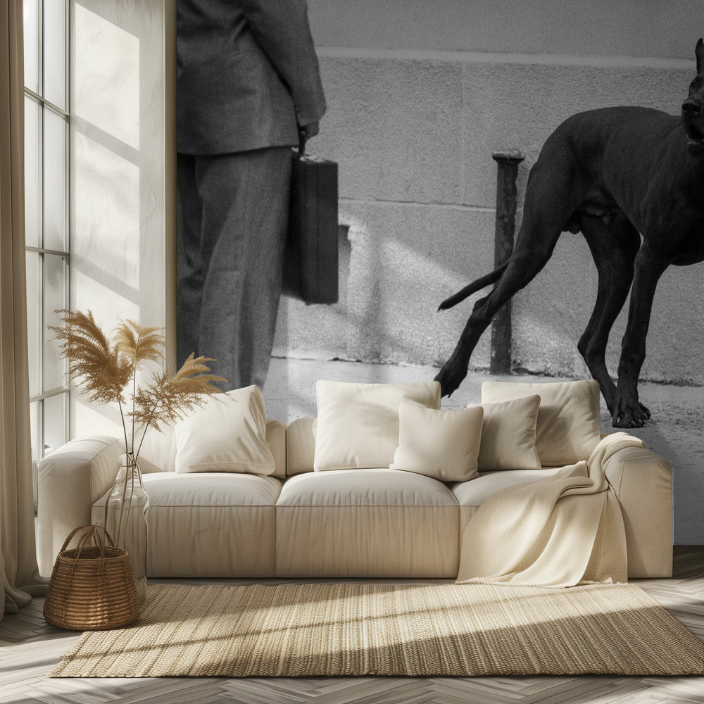 Duitse dog als lijfwacht (uit de serie "Boy meets girl") | Achtergrond