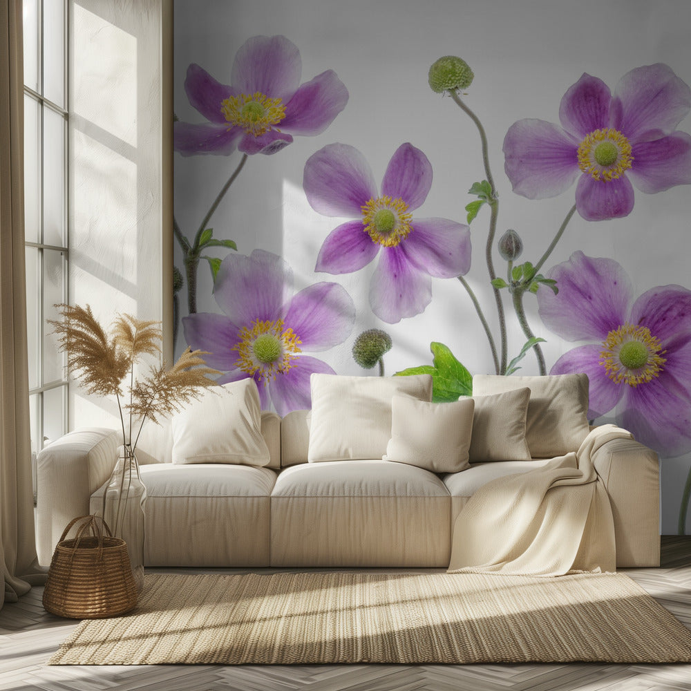 Anemone Japonica | Behang