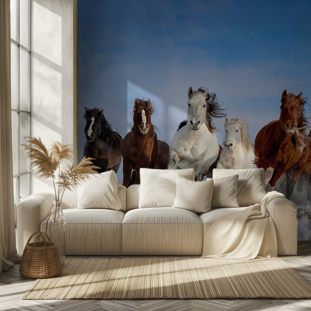 Mongoolse paarden | Achtergrond
