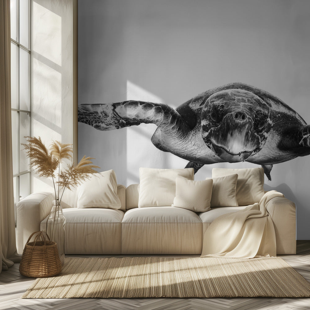 Wit en schildpad | Behang