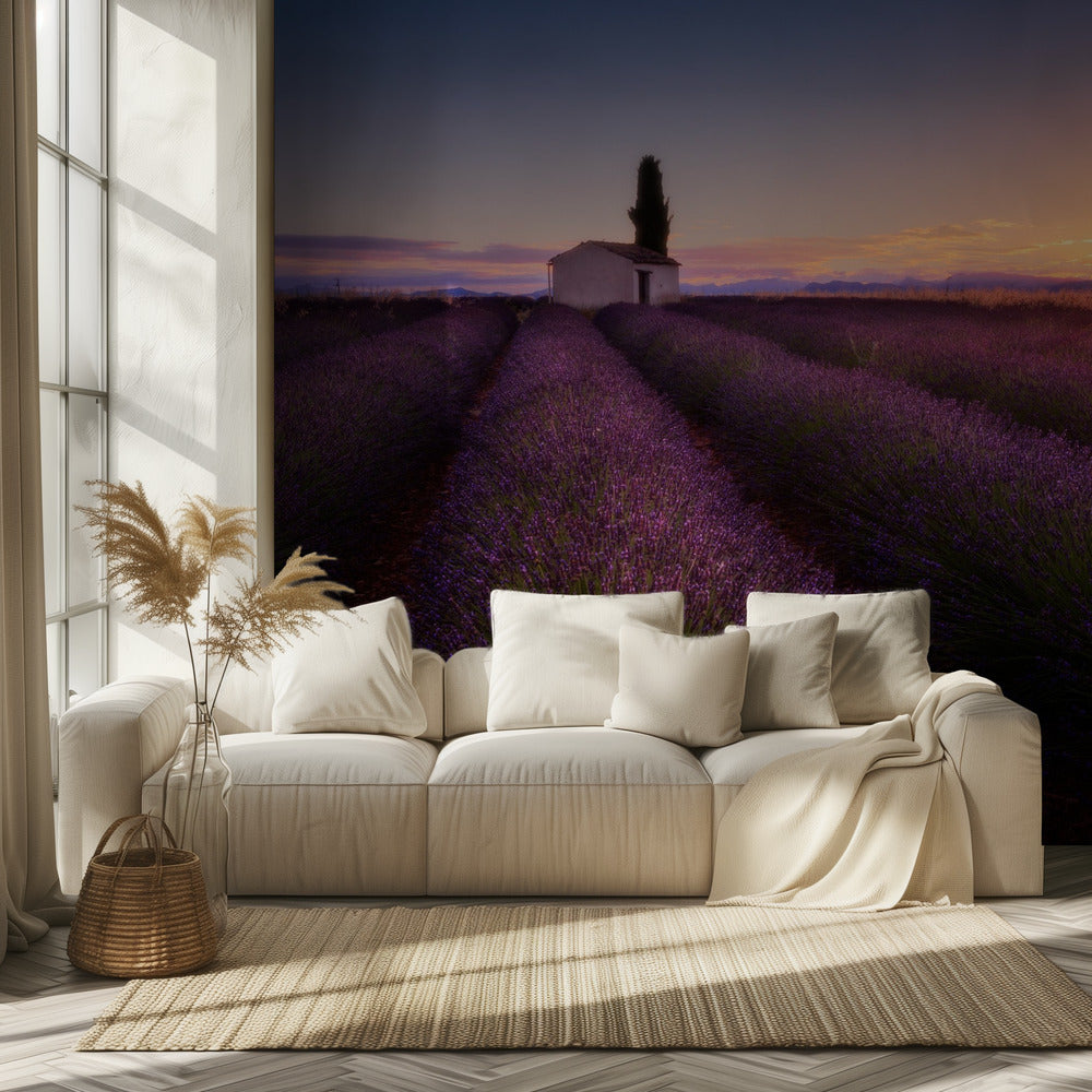 Provence Lavendel | Behang