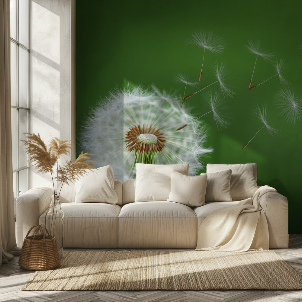 Paardenbloem waait | Behang