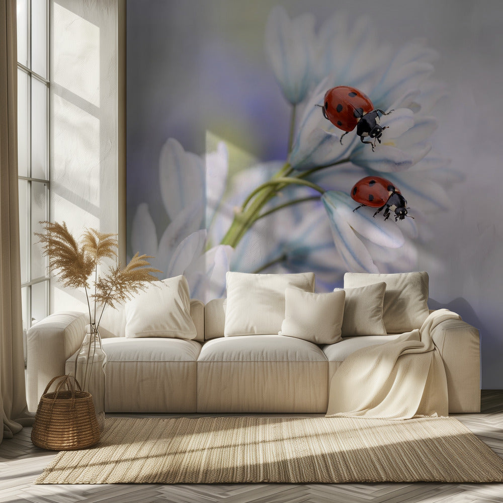 Lieveheersbeestjes | Behang