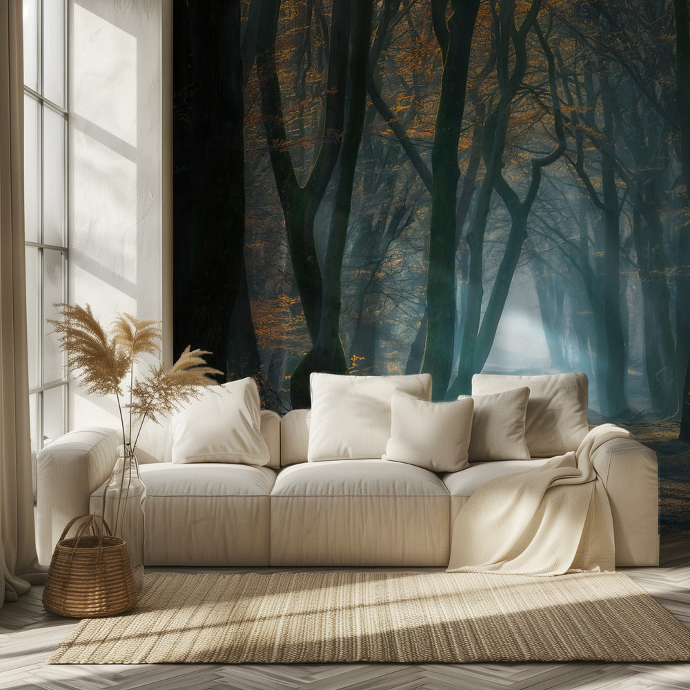 Koud licht | Behang