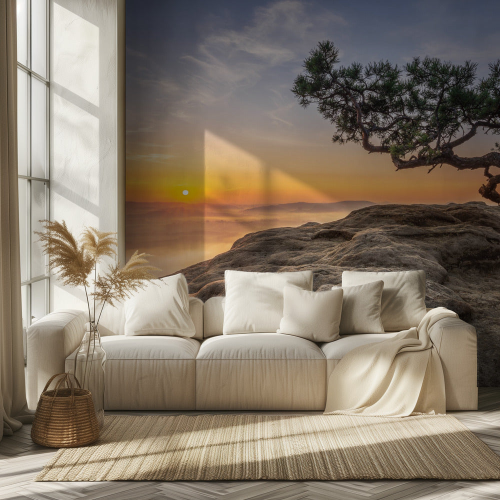Oud grenen | Behang